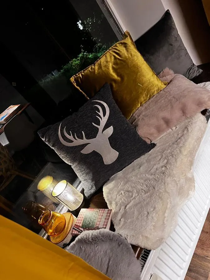 Bavaria Mountain Lodge Ski Arber Osser Bayrischer Wald Designer Ferienwohnung Lohberg 0*,